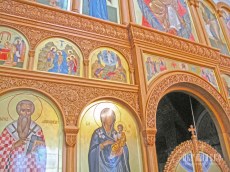 IMG_5040