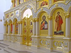 IMG_5446