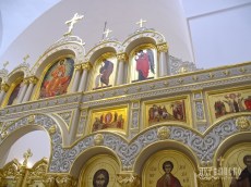 IMG_5448