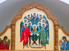 IMG_8517
